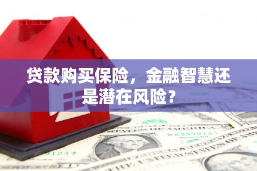 青神贷款购买保险，金融智慧还是潜在风险？
