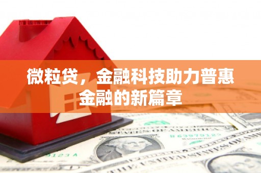 青神微粒贷，金融科技助力普惠金融的新篇章