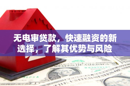 青神无电审贷款，快速融资的新选择，了解其优势与风险