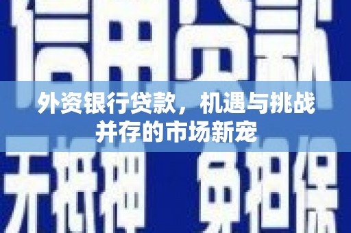 青神外资银行贷款，机遇与挑战并存的市场新宠