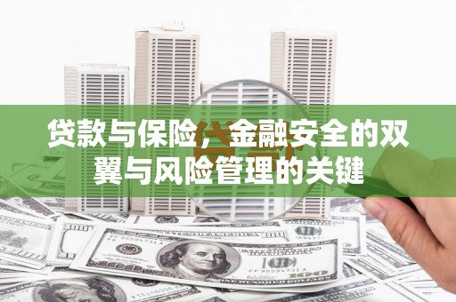 青神贷款与保险，金融安全的双翼与风险管理的关键