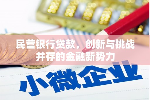 青神民营银行贷款，创新与挑战并存的金融新势力