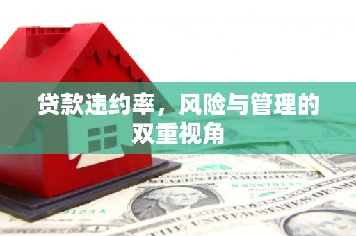 青神贷款违约率，风险与管理的双重视角