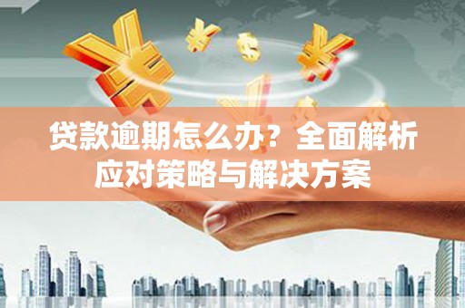 青神贷款逾期怎么办？全面解析应对策略与解决方案