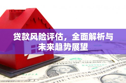 青神贷款风险评估，全面解析与未来趋势展望