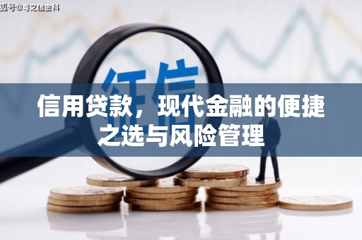 青神信用贷款，现代金融的便捷之选与风险管理