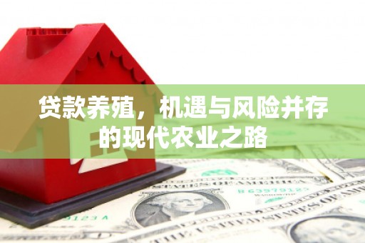 青神贷款养殖，机遇与风险并存的现代农业之路