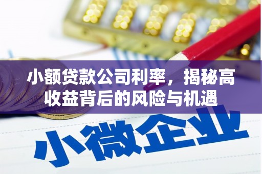 青神小额贷款公司利率，揭秘高收益背后的风险与机遇