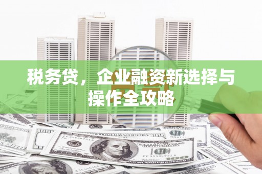 青神税务贷，企业融资新选择与操作全攻略
