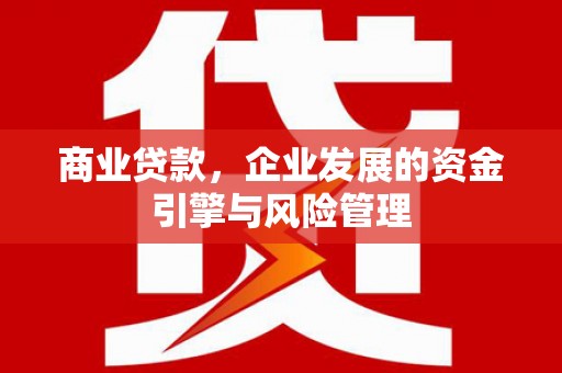青神商业贷款，企业发展的资金引擎与风险管理