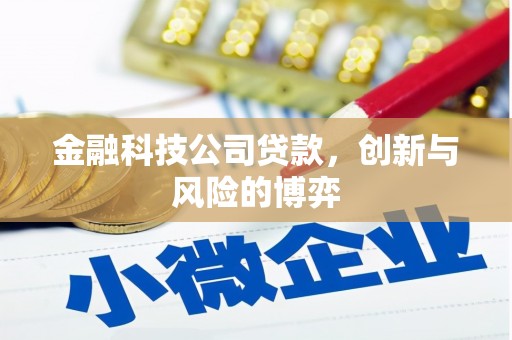 青神金融科技公司贷款，创新与风险的博弈