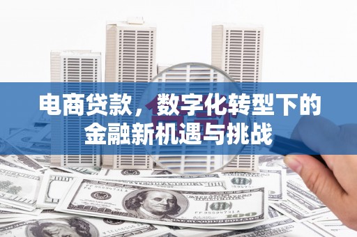 青神电商贷款，数字化转型下的金融新机遇与挑战
