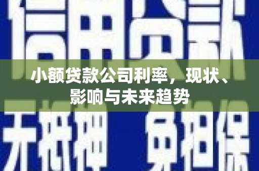 青神小额贷款公司利率，现状、影响与未来趋势