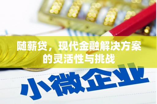 青神随薪贷，现代金融解决方案的灵活性与挑战