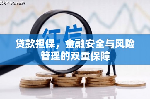青神贷款担保，金融安全与风险管理的双重保障