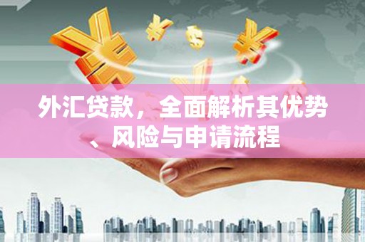 青神外汇贷款，全面解析其优势、风险与申请流程
