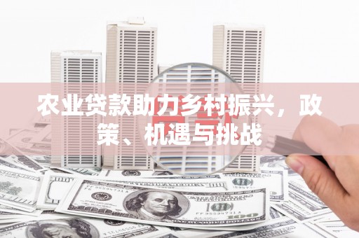 青神农业贷款助力乡村振兴，政策、机遇与挑战