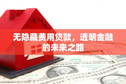 青神无隐藏费用贷款，透明金融的未来之路