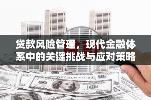青神贷款风险管理，现代金融体系中的关键挑战与应对策略