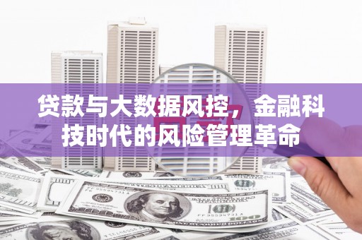青神贷款与大数据风控，金融科技时代的风险管理革命