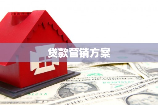 青神贷款营销方案