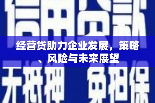 青神经营贷助力企业发展，策略、风险与未来展望