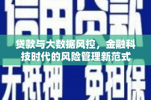 青神贷款与大数据风控，金融科技时代的风险管理新范式
