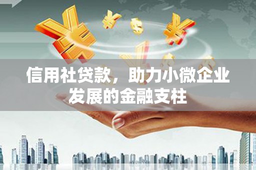 青神信用社贷款，助力小微企业发展的金融支柱