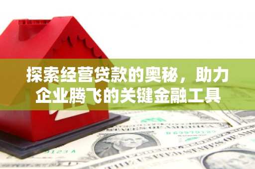 青神探索经营贷款的奥秘，助力企业腾飞的关键金融工具