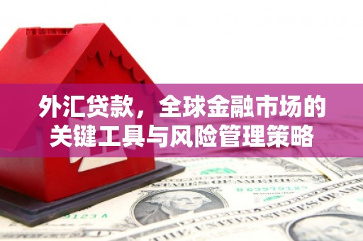 青神外汇贷款，全球金融市场的关键工具与风险管理策略