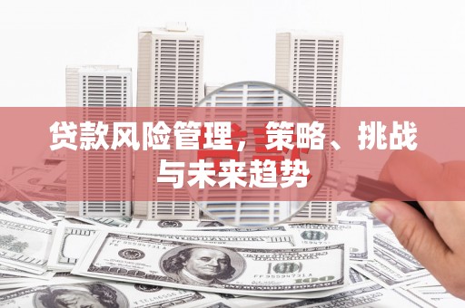 青神贷款风险管理，策略、挑战与未来趋势