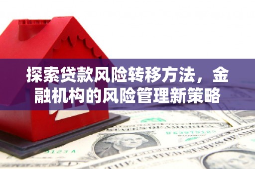 青神探索贷款风险转移方法，金融机构的风险管理新策略