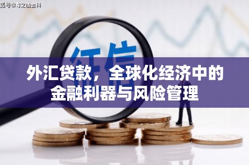 青神外汇贷款，全球化经济中的金融利器与风险管理