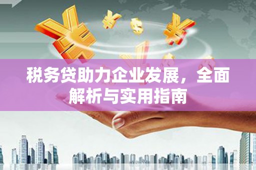 青神税务贷助力企业发展，全面解析与实用指南
