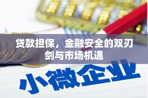 青神贷款担保，金融安全的双刃剑与市场机遇