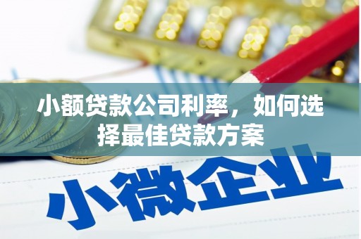 青神小额贷款公司利率，如何选择最佳贷款方案