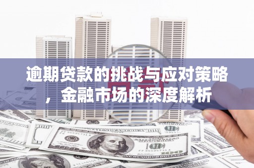 青神逾期贷款的挑战与应对策略，金融市场的深度解析