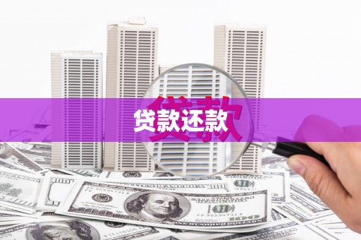 青神贷款还款