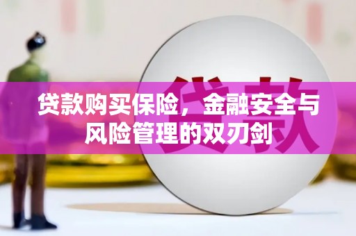 青神贷款购买保险，金融安全与风险管理的双刃剑