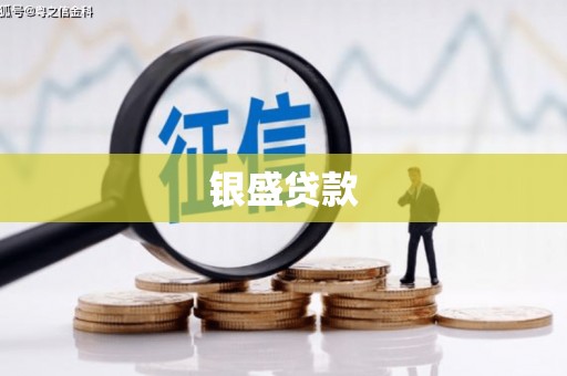 青神银盛贷款