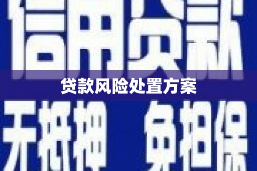 青神贷款风险处置方案