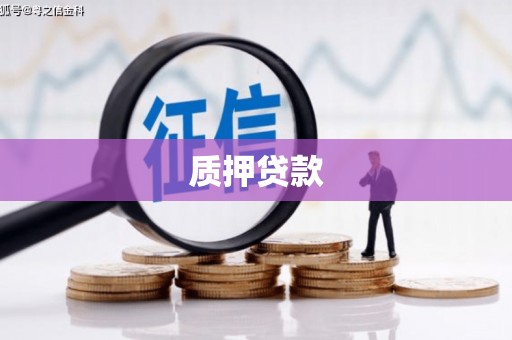 青神质押贷款