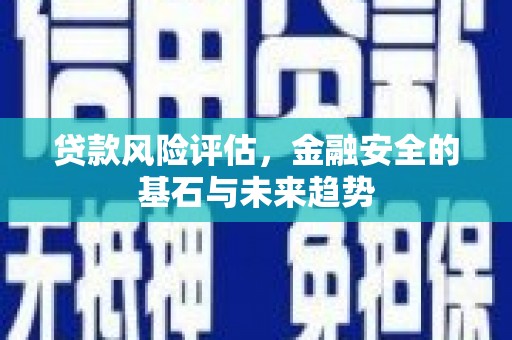 青神贷款风险评估，金融安全的基石与未来趋势