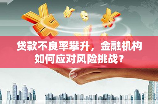 青神贷款不良率攀升，金融机构如何应对风险挑战？