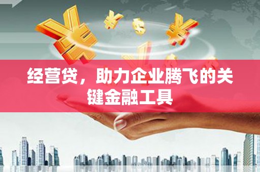 青神经营贷，助力企业腾飞的关键金融工具