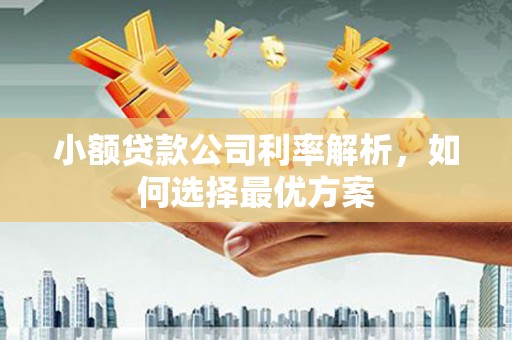 青神小额贷款公司利率解析，如何选择最优方案