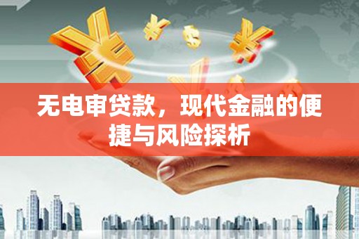 青神无电审贷款，现代金融的便捷与风险探析