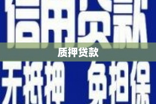 青神质押贷款