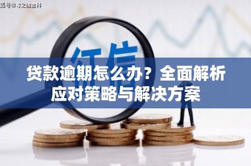 青神贷款逾期怎么办？全面解析应对策略与解决方案