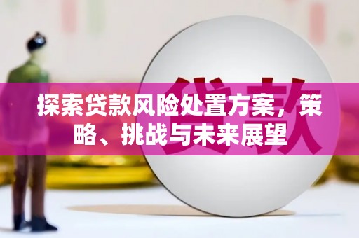 青神探索贷款风险处置方案，策略、挑战与未来展望